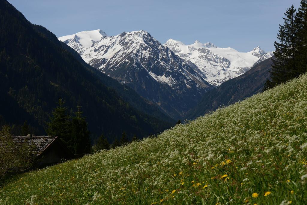 Pension Tina Neustift im Stubaital Exterior foto